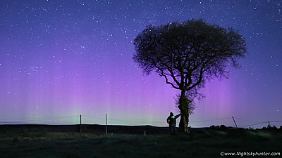 Fairy Tree Aurora At Beaghmore - April 26th2024